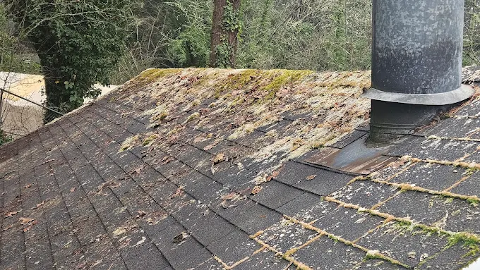 Moss Removal in Oregon City, Oregon