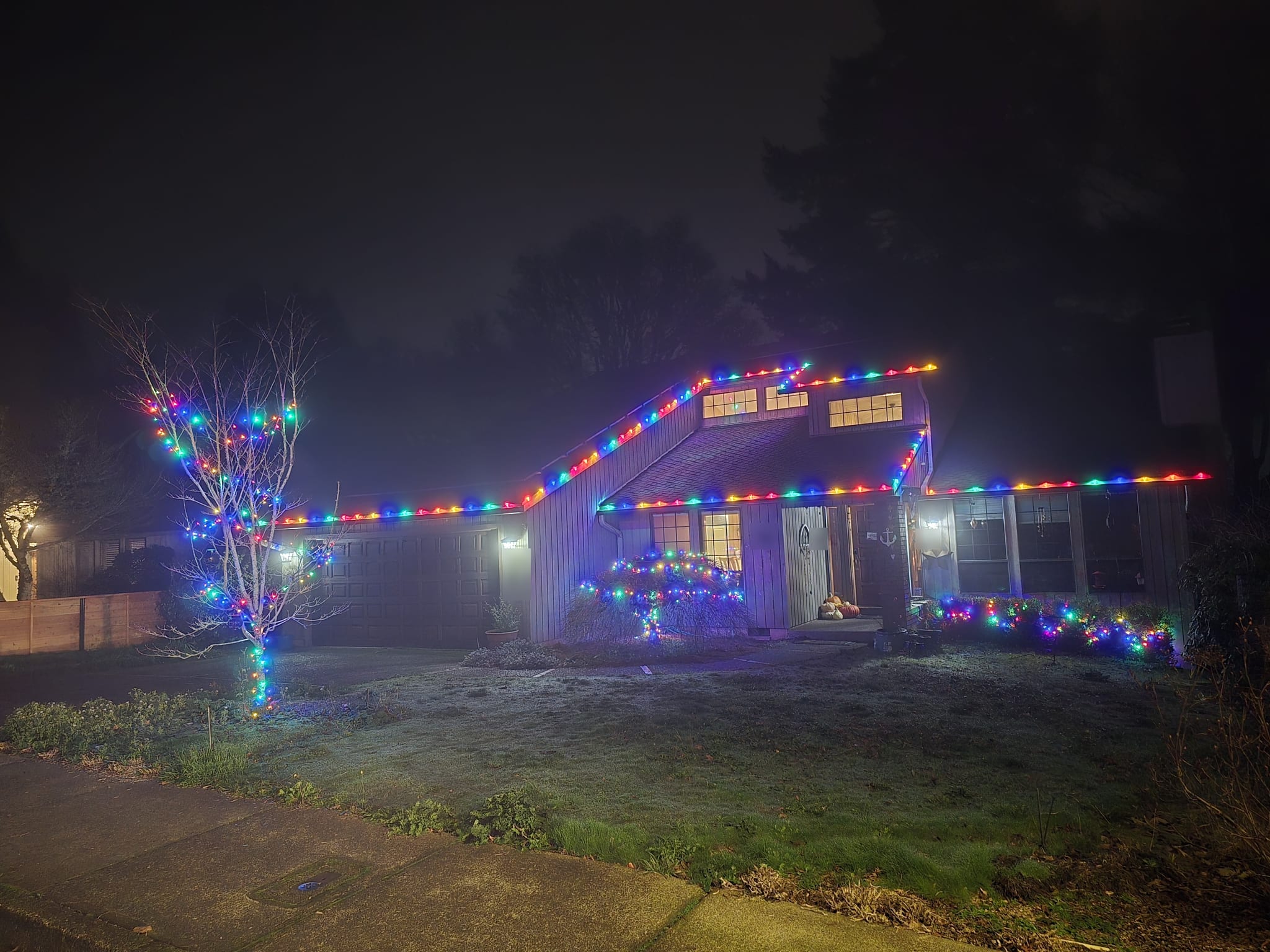 Home with multicolor C9 roofline lights, a light-wrapped tree and lit shrubs on a frosty night
