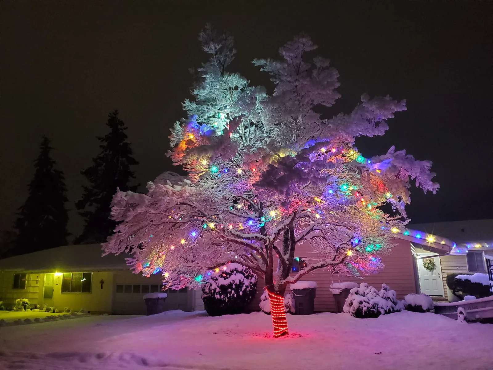 Christmas Lights Installation in Albany, Oregon