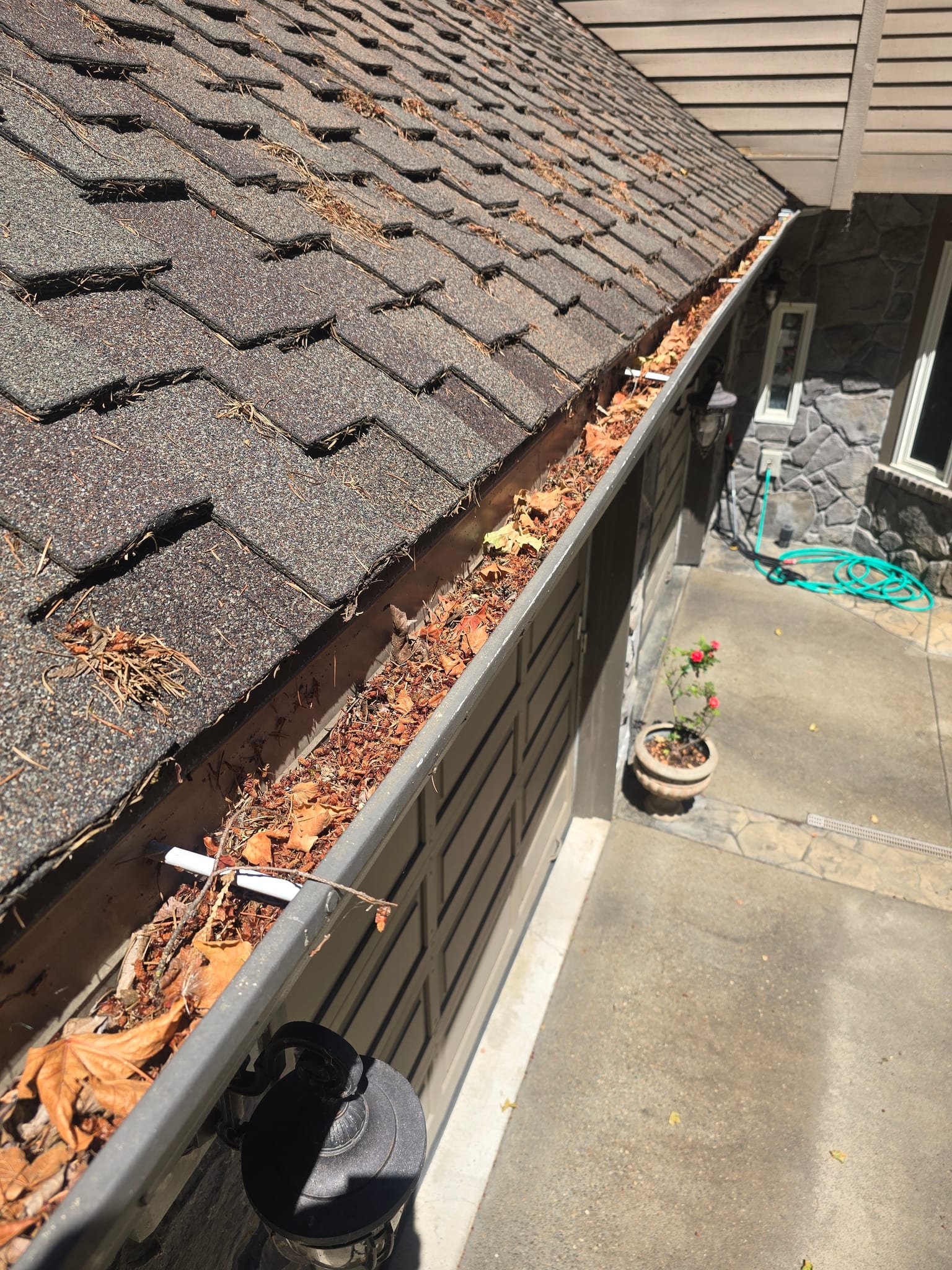 Gutter packed with leaves and fir needles above a patio, before cleaning