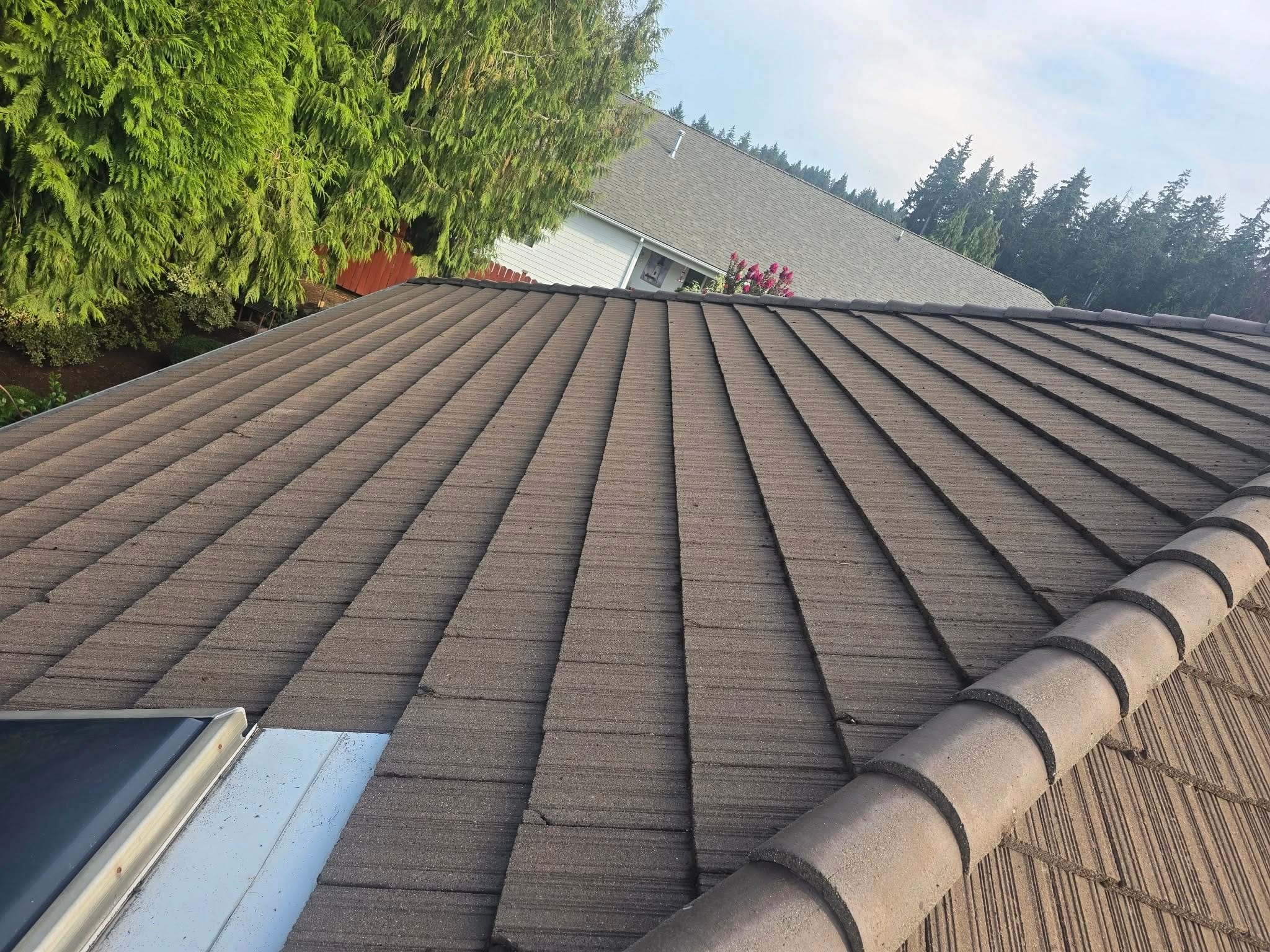 The same concrete tile roof in Silverton, Oregon after cleaning, even in colour along the ridge