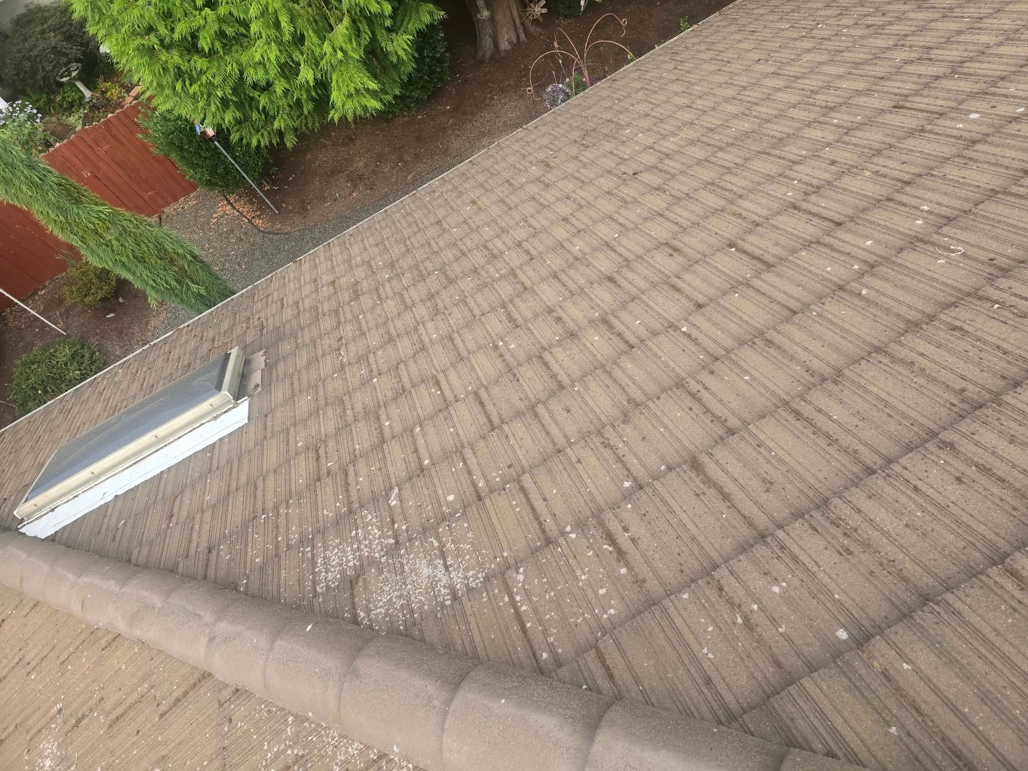 Concrete tile roof with a skylight in Silverton, Oregon, streaked and spotted before cleaning