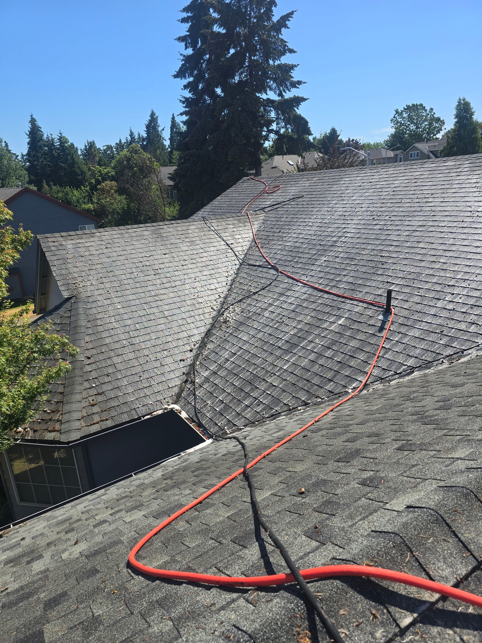 Soft-wash hoses run across a multi-plane asphalt roof during a roof cleaning