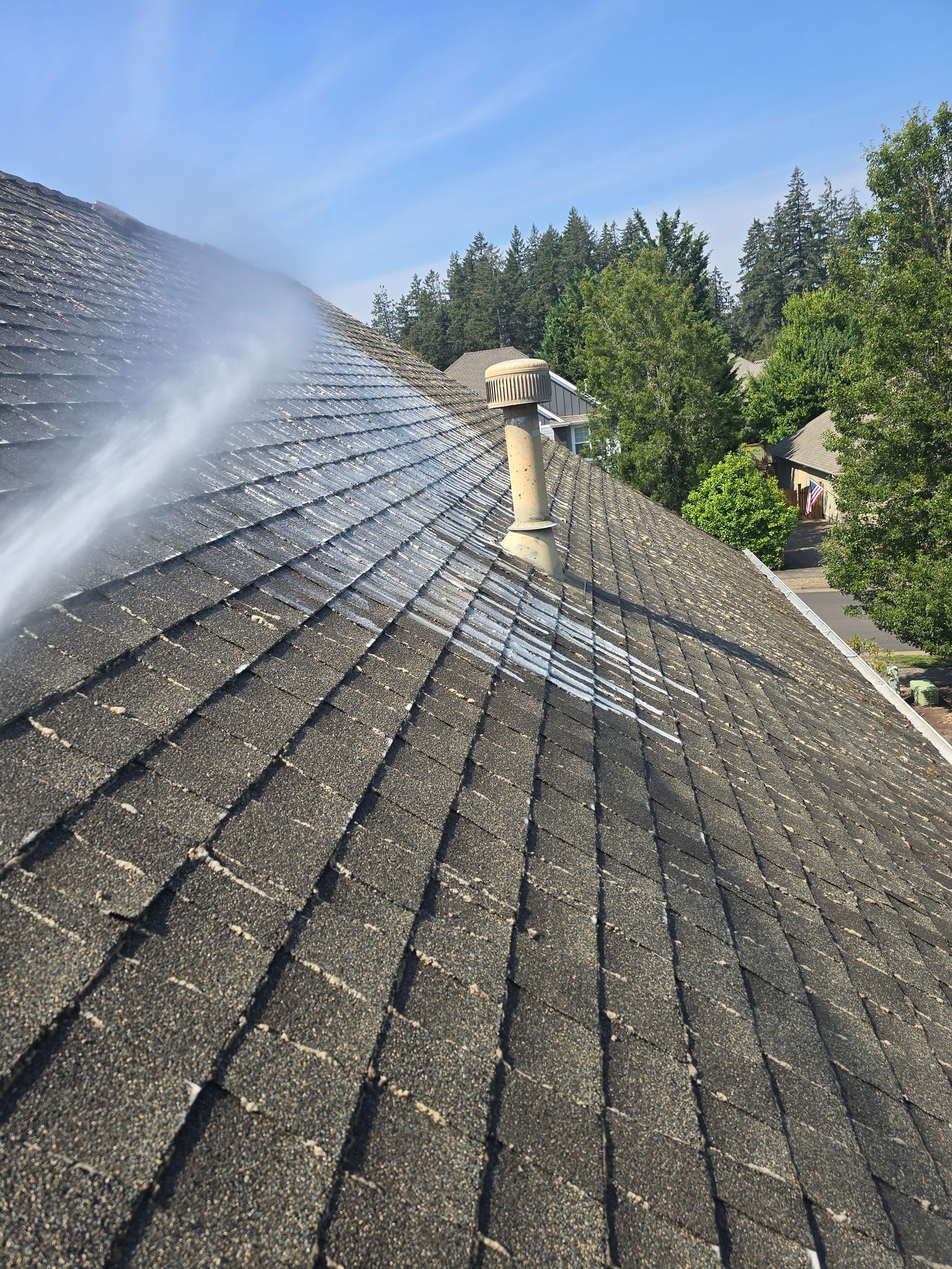 Soft wash solution being sprayed onto lichen-spotted asphalt shingles
