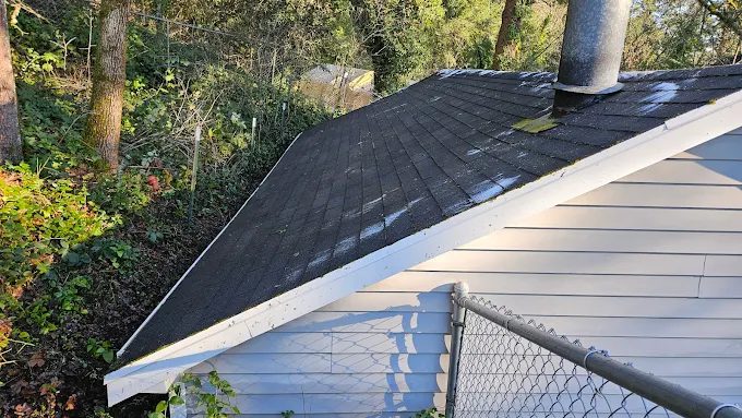 Asphalt Roof Cleaning South Salem - After