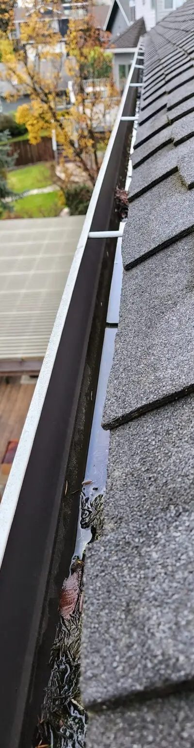 How Often Should Gutters Be Cleaned in the PNW?