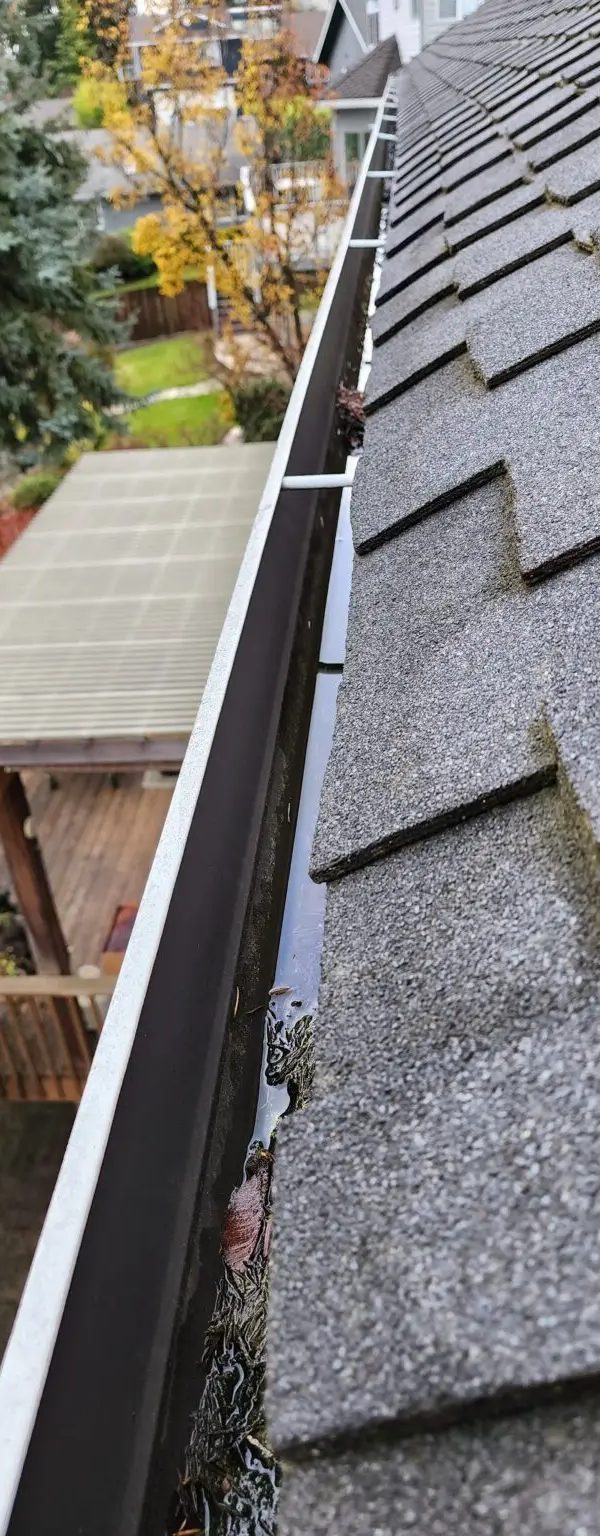How Often Should Gutters Be Cleaned in the PNW?