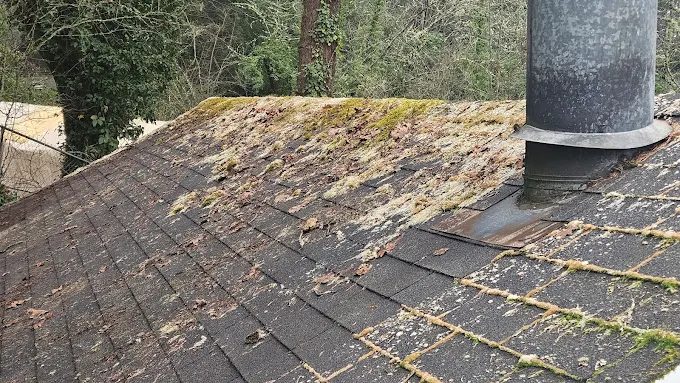 Asphalt Roof Cleaning South Salem - Before