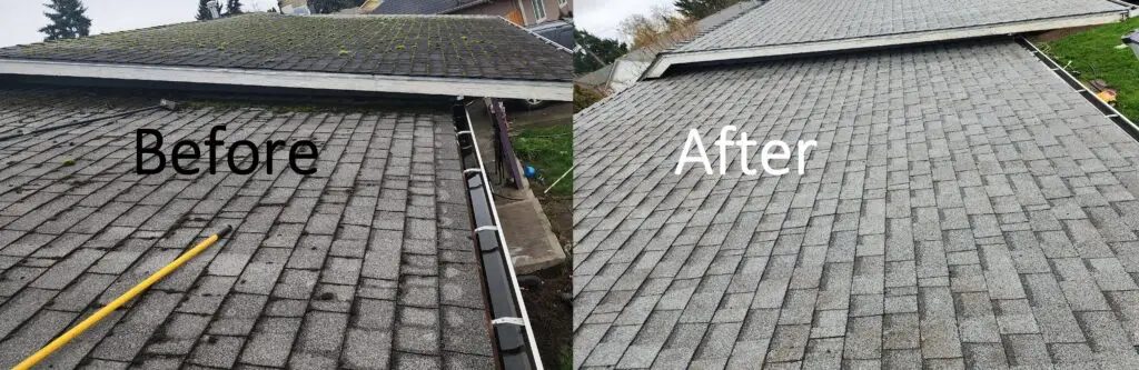 Moss removal before and after — DIY vs. pro Before and after professional moss removal results — DIY methods rarely match commercial outcomes