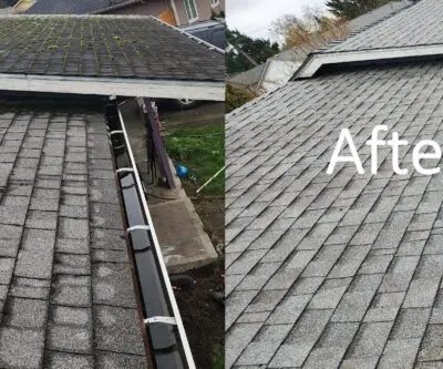 DIY vs Professional Moss Removal