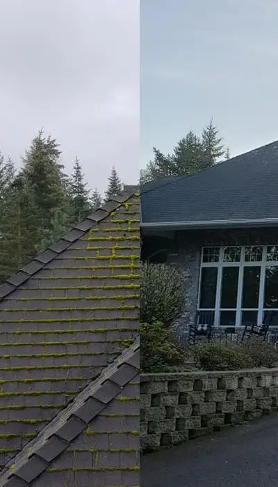 Does Insurance Require Roof Cleaning in Oregon?