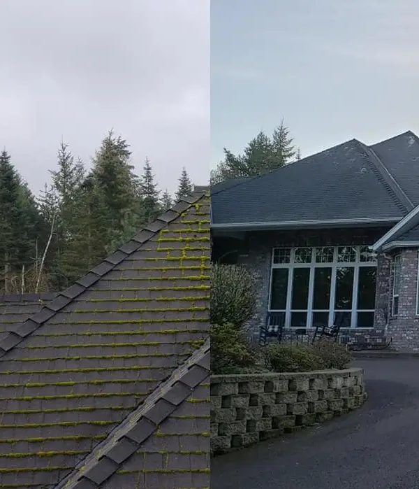 Does Insurance Require Roof Cleaning in Oregon?