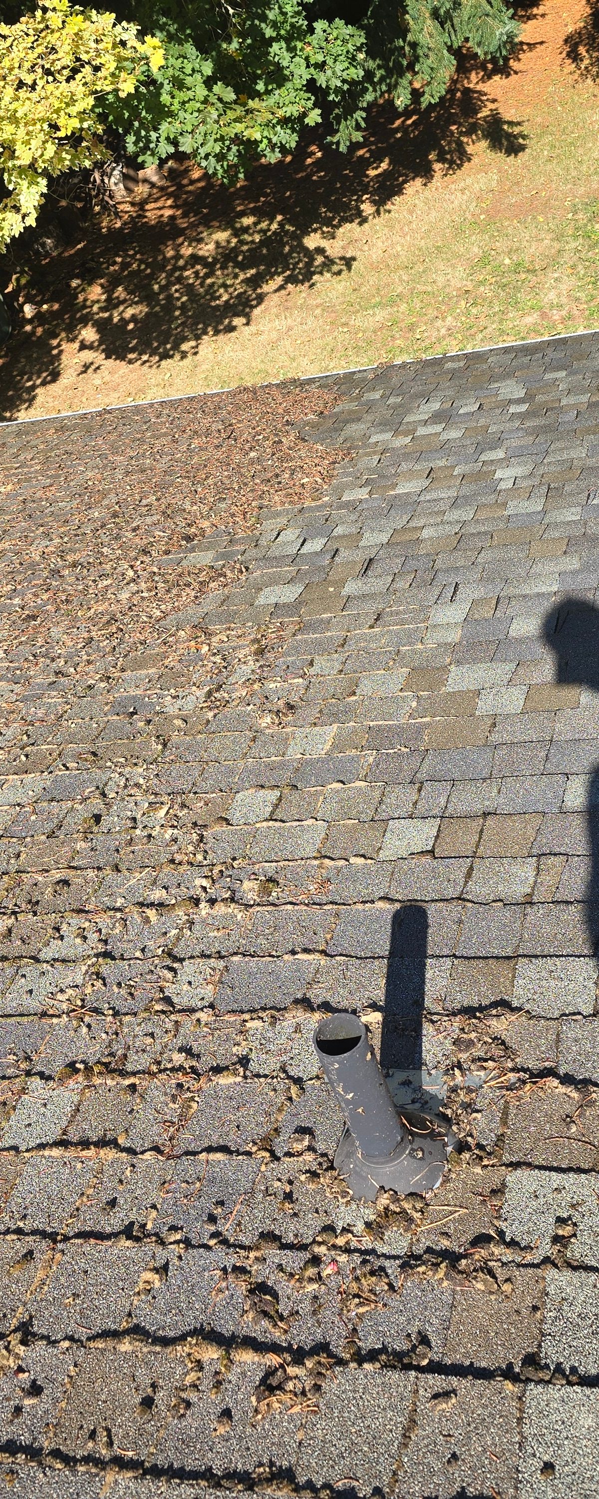 Roof Cleaning – Asphalt in Salem Before
