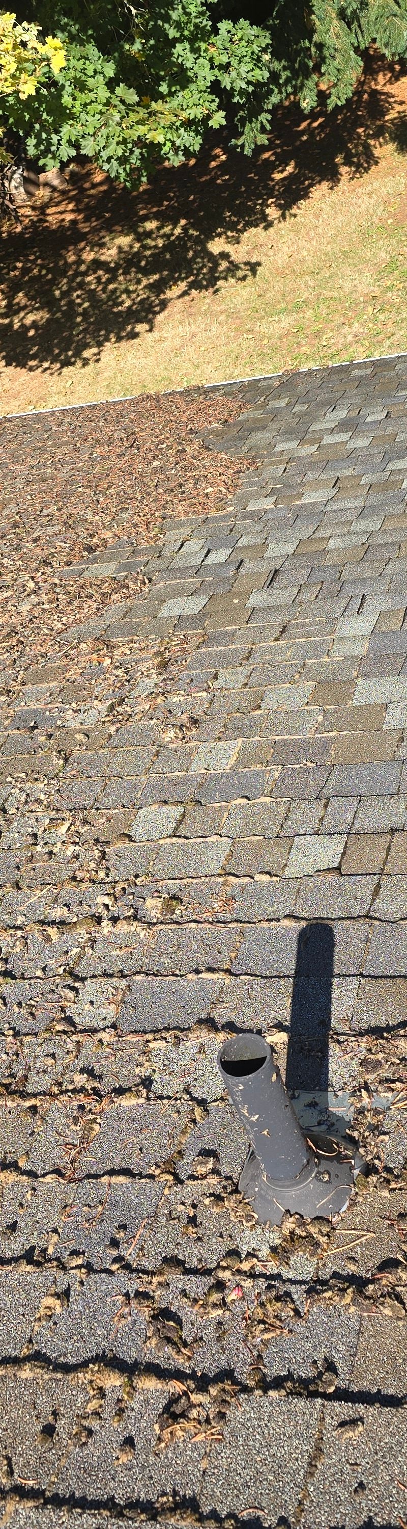 Roof Cleaning – Asphalt in Salem Before and After