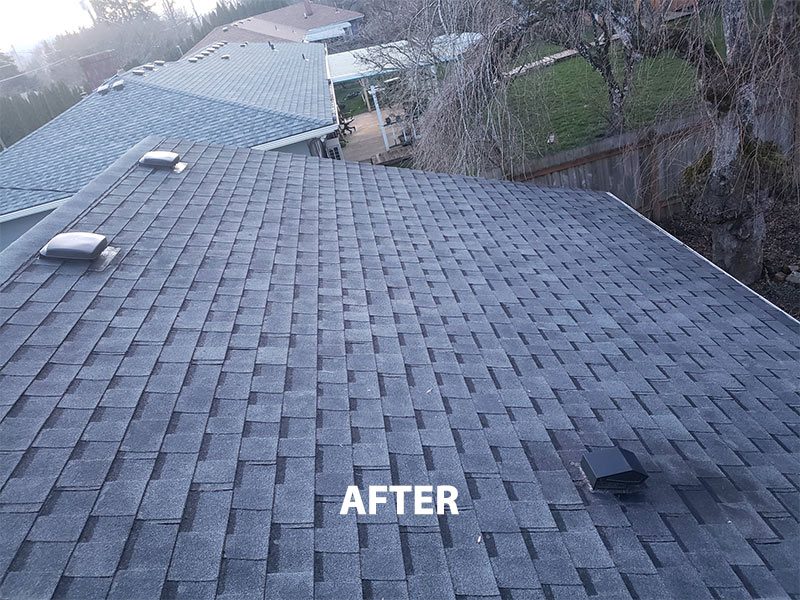Roof Cleaning Wilsonville Oregon - Asphalt - After