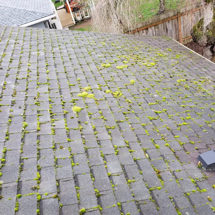 Roof Cleaning Wilsonville Oregon - Asphalt - Before