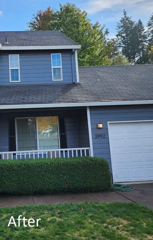 Roof Cleaning ROI: Why It Matters