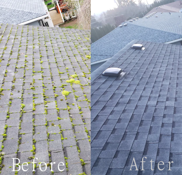 Roof Cleaning Cost in Salem, Oregon